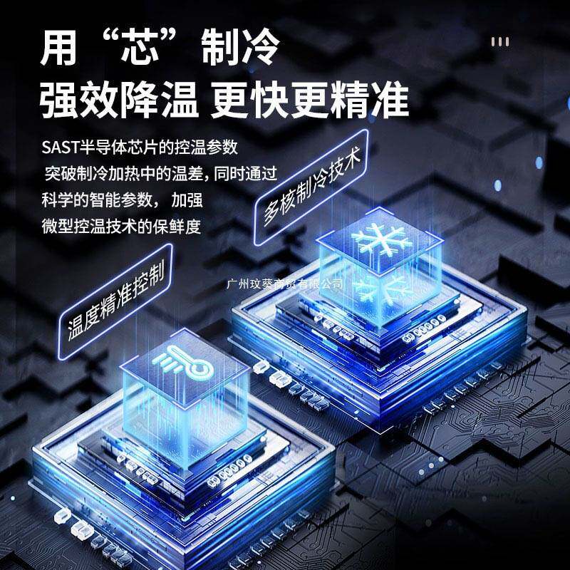 SAST车载迷你小冰箱车家两用迷你小型美妆母乳冷藏学生宿舍单人用