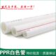 家装 精品水管 冷热水管 白色PPR管