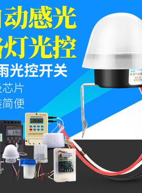 光控开关220V直流12V防雨AS-20天黑自动亮光感应智能路灯光控制器