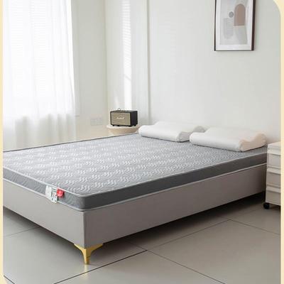 乳胶记忆棉床垫遮盖物家用软垫卧室宿舍学生单双人榻榻米海绵垫子