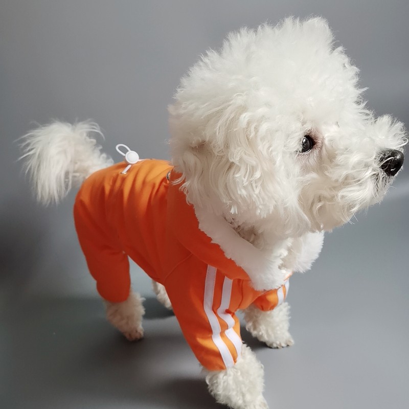 宠物连帽四脚衣纸样泰迪金毛法牛雨衣图纸中型大型犬服饰棉服模版