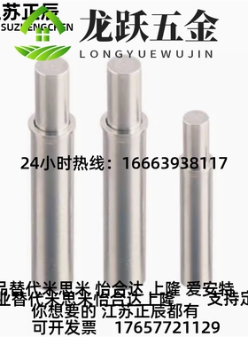 MFH4-9P小径弹簧柱塞 平头w销型2 光身弹簧锁销(ZC5-10) 重载型