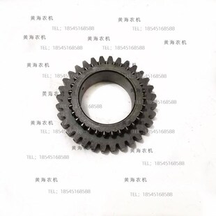 304A拖拉机配件变速箱三挡主动齿 32齿 254 盐城黄海金c马184