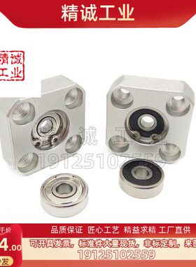 带座轴承BGFSB6003ZZ-40/BFP41-6003ZZ-L40