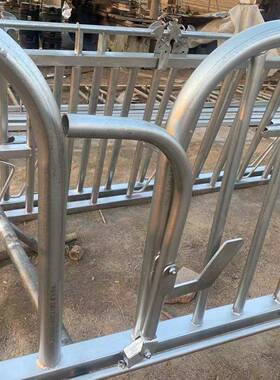 镀款加厚圆弧实形颈KJN夹自锁式牛颈枷一牛锌一位牛脖夹牛配件结