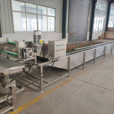 泡供应HTO臭氧超声蔬菜清洗波机商用果全自动厨房洗菜机蔬气清洗