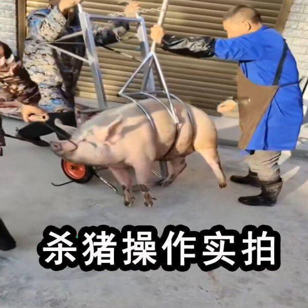 杀猪神器架子杀猪车设备杀猪架子屠宰猪时用的固定架移动式肥猪台