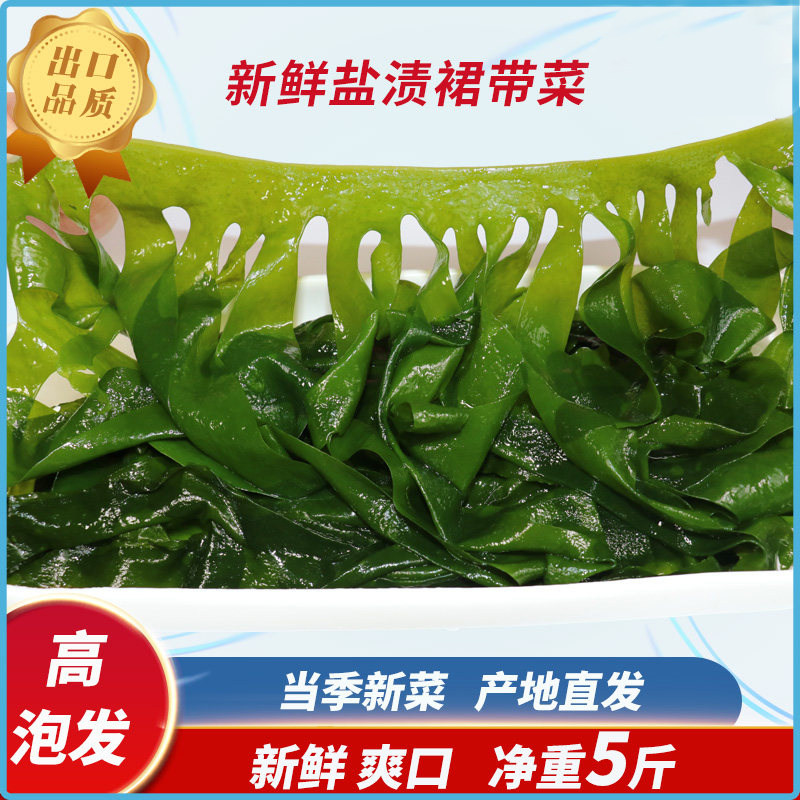 裙带菜盐渍正宗海菜大连