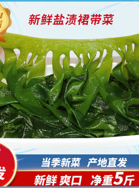 裙带菜盐渍正宗海菜大连