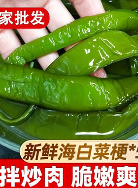 5斤新鲜海白菜裙带菜梗
