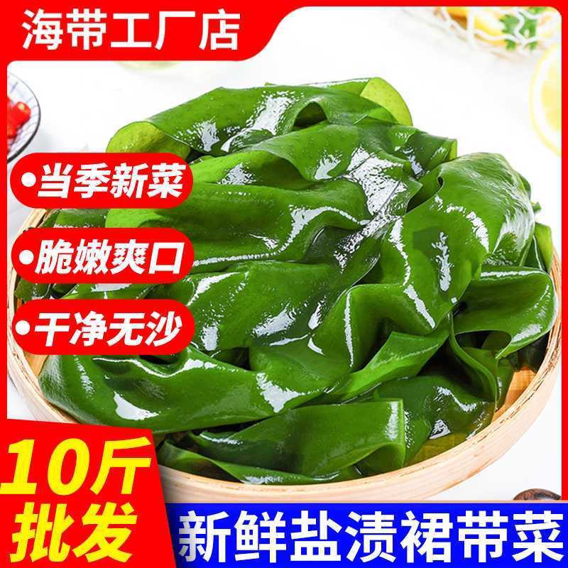 新鲜盐渍裙带菜10斤整箱