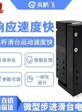 28/46442模微型步滑台电缸组高精滚珠进丝杆电度动推杆平台24V脉