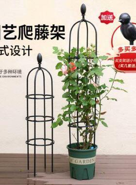 花架厅花内子阳台室爬藤植物客爬藤花爬藤支URU架架花