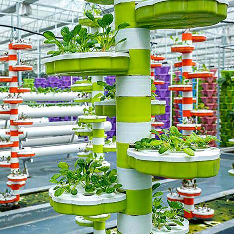 仿生螺旋立柱水培架大棚管果蔬遮阳钢架农场植物大棚膜蔬果棚架,机械设备,农业机械/园林设备/畜牧设备,淘宝优惠券,粉丝福利购,淘宝优惠卷