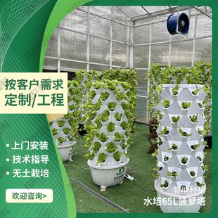 科普水培种植系统气雾栽培菠萝塔大棚蔬菜种植设备无土栽培种植塔