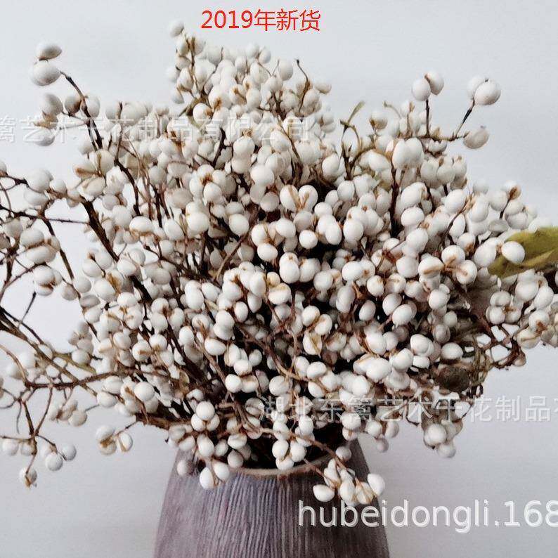 干花小白干家HGW花冬菇草居卧室餐桌插花真花家干花花材厂果乌桕