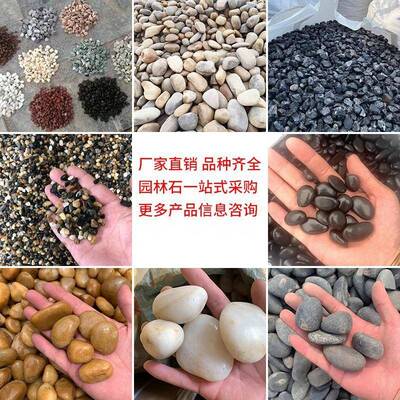 南雨花石黄色鹅卵石抛光公水池场912施工广布景园林园铺路庭京院