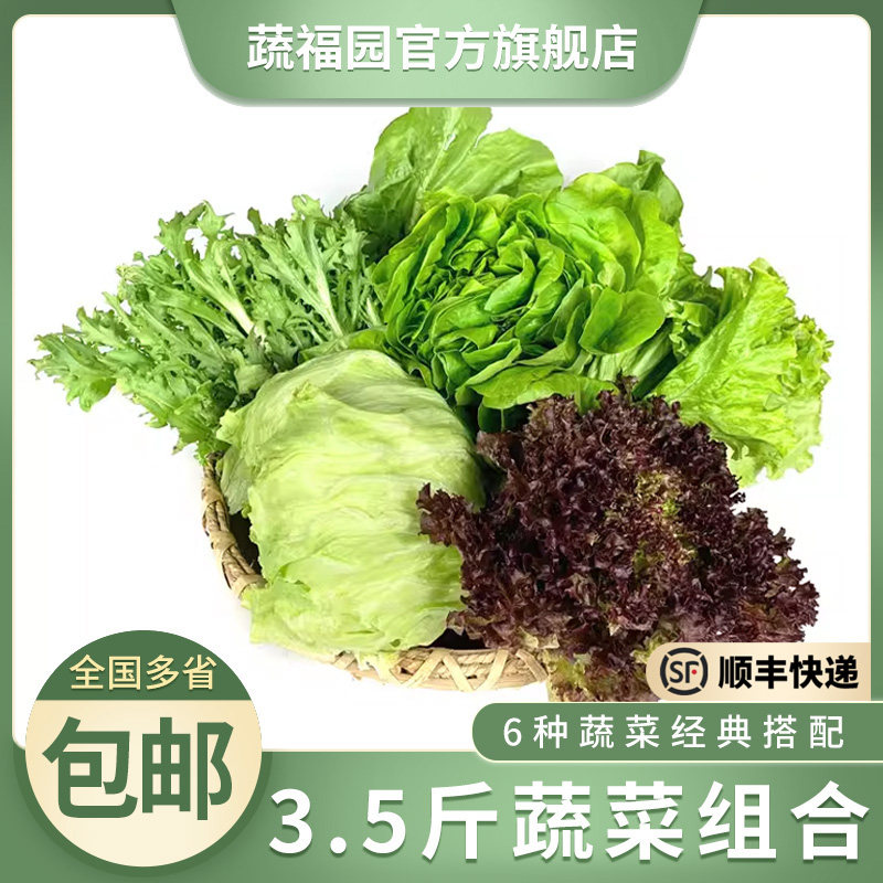 沙拉蔬菜组合3.5斤 新鲜苦菊其它