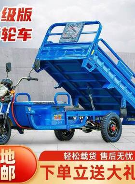 国款标电摊三轮车动拉货新PGH快递载重家用农用电瓶车货车成人摆