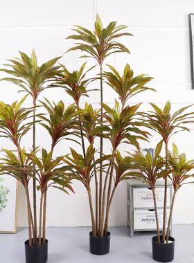 新仿真红铁树朱蕉树假植物北欧ins客装饰植盆厅QH-54106景仿真巴