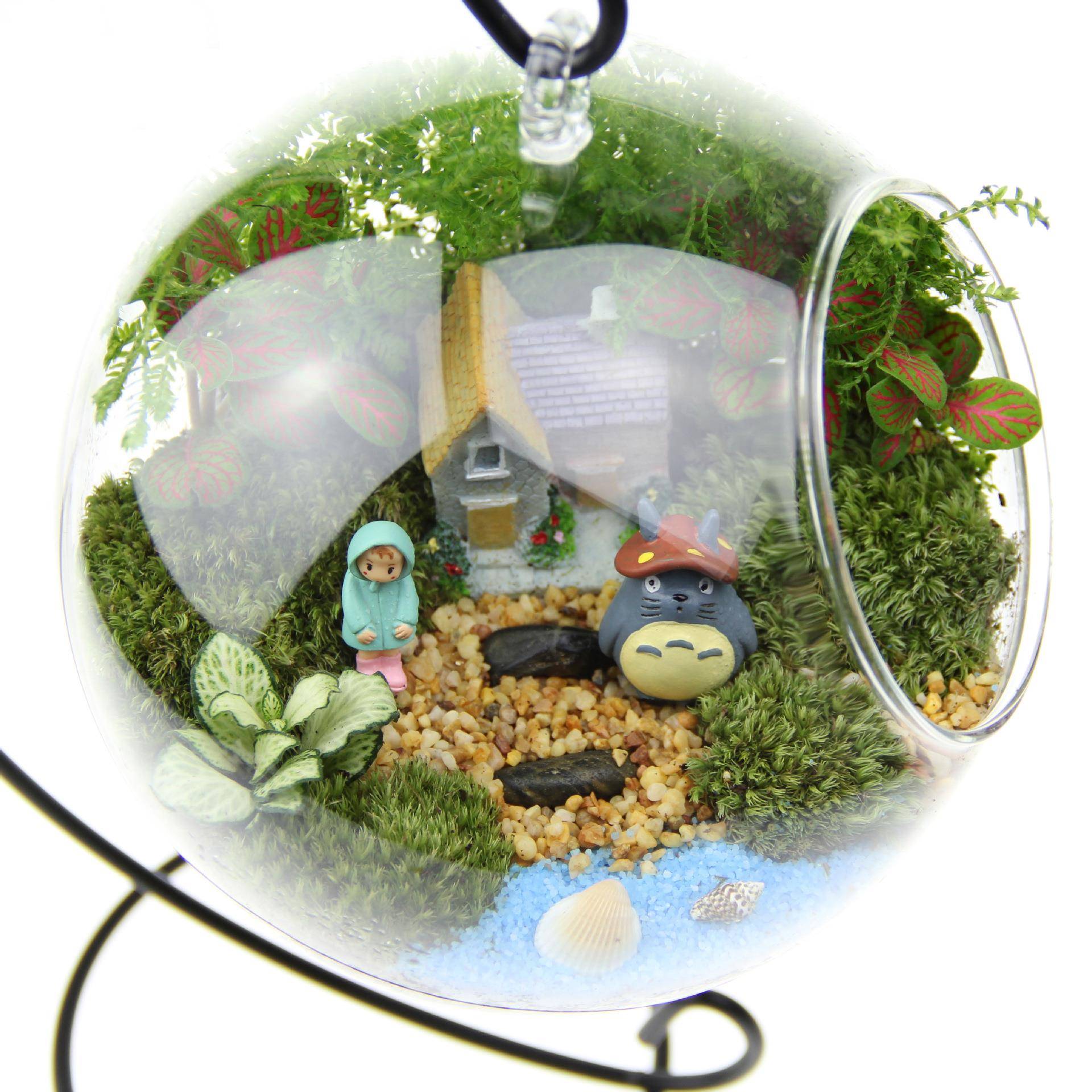 意礼品礼物藓微景观套装趣味创生态瓶16圆底吊苔瓶盆活tz-20181植