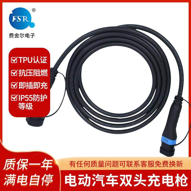 新能源双汽车充电枪6A通用便接携充电器1家用商用免线头980充电枪,汽车用品/电子/清洗/改装,新能源汽车充电设备/充电桩,淘宝优惠券,粉丝福利购,淘宝优惠卷