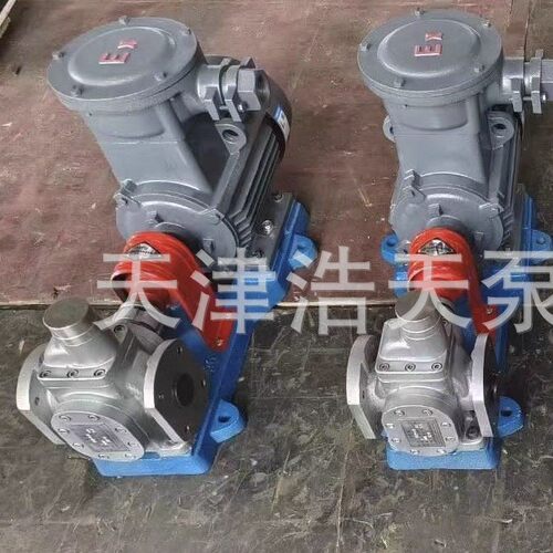 不锈钢防爆圆弧齿轮泵YCB-T 柴油 机油 汽油 润滑油 液压油 胶水