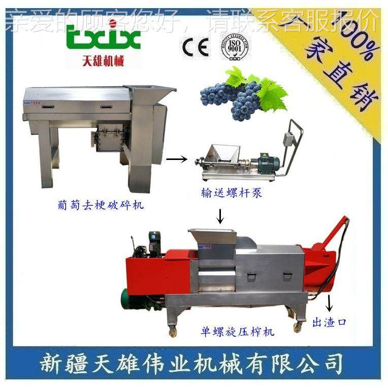 穆塞工勒斯TX-2000葡萄汁加设备 穆塞斯饮料生产线 穆斯塞勒加勒