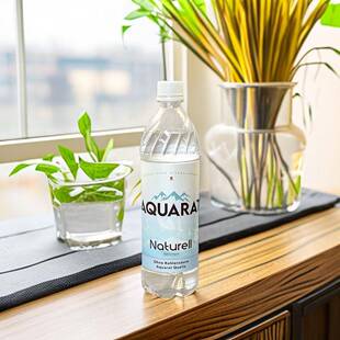 ivesrion水瓶全罐便携保险箱D藏私房钱藏钥匙藏匿安250收纳矿泉水