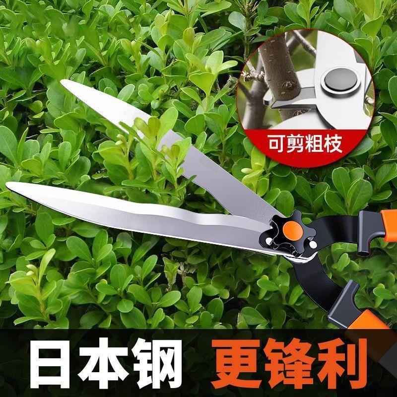 园林修枝剪家用草坪剪花