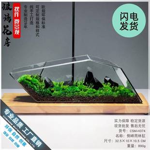 苔藓微景374观玻花器玻皿生态雨林缸造房景流水植物墙花盆璃器鱼