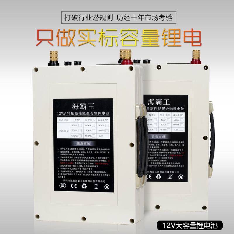 国标锂电池12V大容量200Ah/100AH三元大单体12V锂电池足容量防水