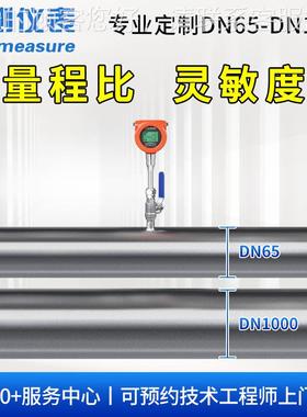 联测高精度热式气体质量流气量计传感器烟氮缩气压NUG空气管插入