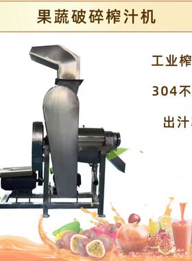 番茄榨汁机 鲁科商用大型果蔬榨汁设备 生姜白萝卜橙子打汁机