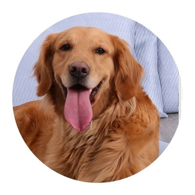 新款狗狗睡垫狗i窝冬天保暖大型犬e宠物毛毯可拆洗金毛秋冬狗垫子