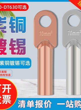 DT铜鼻子堵油铜线k耳线鼻子接线端子镀锡铜接头压线接头16/500平