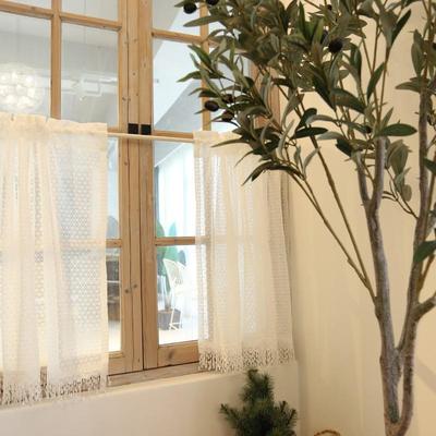 窗纱帘半帘美半式帘蕾丝帘杆穿帘柜帘防门尘帘咖717啡帘遮光