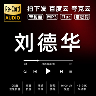 刘德华黑胶mp3全集无损音乐车载华语经典 华语流行flac音乐分享