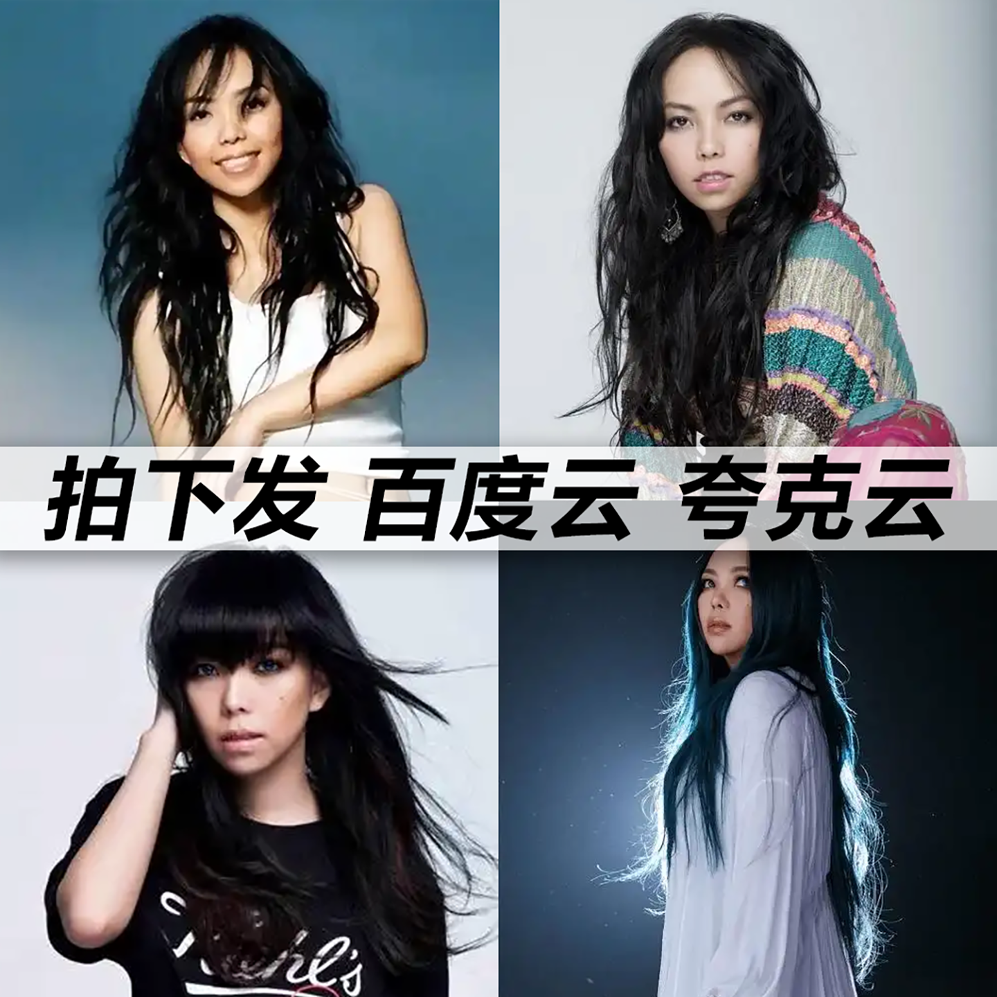 张惠妹黑胶mp3全集无损音乐车载华语经典华语流行flac音乐分享