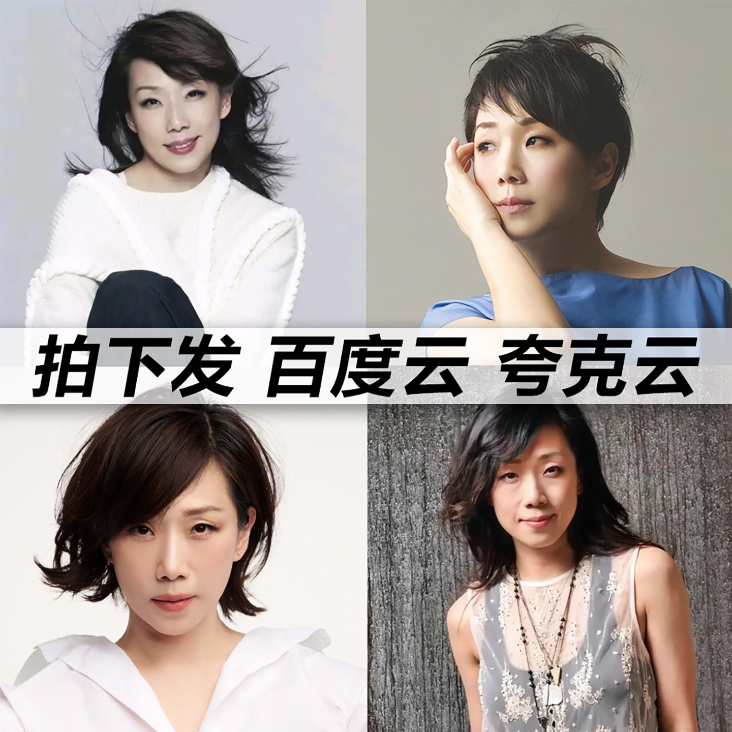林忆莲黑胶mp3全集无损音乐车载华语经典华语流行flac音乐分享