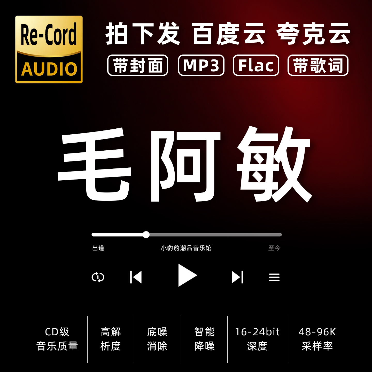 毛阿敏黑胶mp3全集无损音乐车载华语经典华语流行flac音乐分享