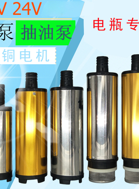 抽油泵柴油d12V伏抽水泵24V电动微小型潜水自吸泵直流加油机抽油