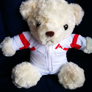 人大附中校服熊羊驼穿衣熊定制(也可定制其他学校公司的熊)