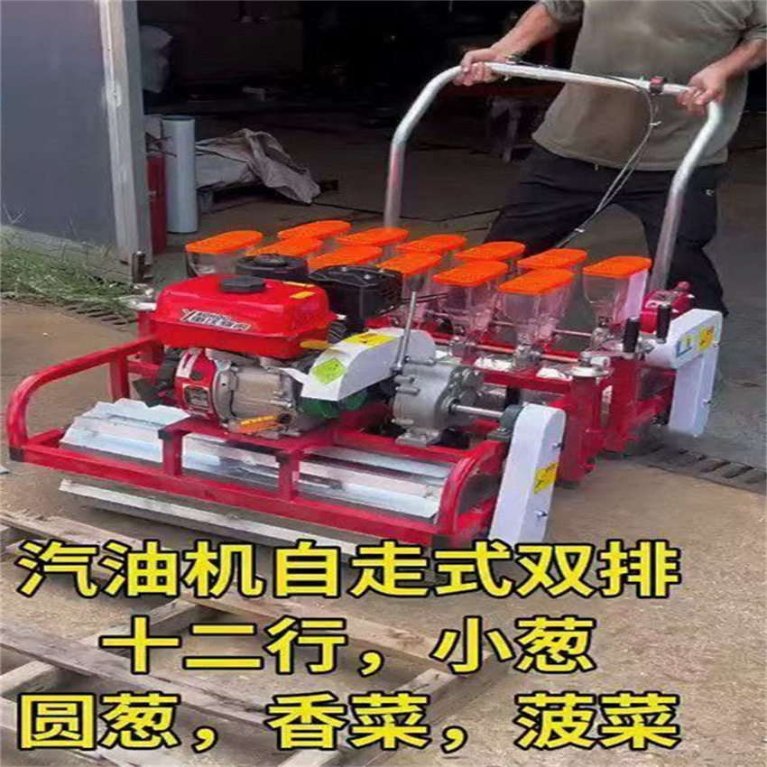 自走式蔬菜育苗播种机双排小粒种子精播机施肥育苗点播机厂家