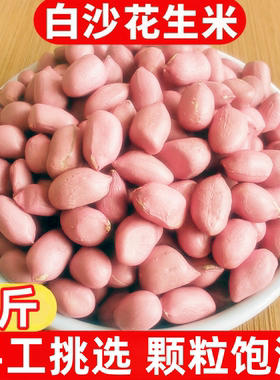 【冲量5斤】2025年当季手工精选农家白沙花生米新鲜白沙花生米