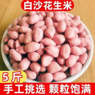 手工精选农家白沙花生米新鲜白沙花生米 2025年当季 冲量5斤