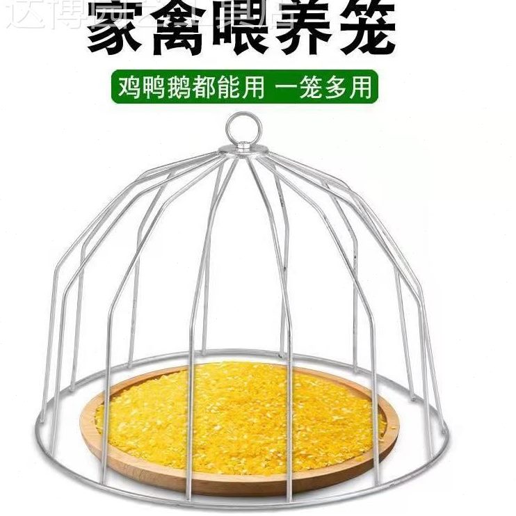 手提笼喂养殖新款食鸭槽式笼子养鸡多功能鸡笼饲料鸡专用笼槽