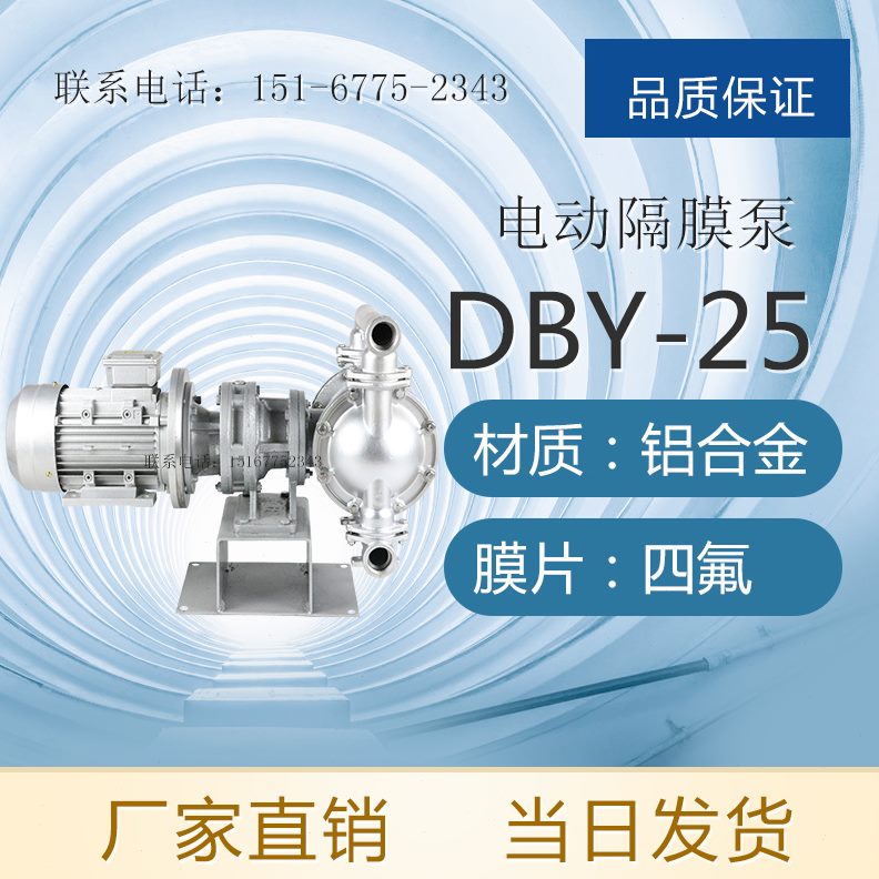 -25-25电动D D型6PS2525BYFS-D - D BYBYBY25L隔膜泵BY-DF4