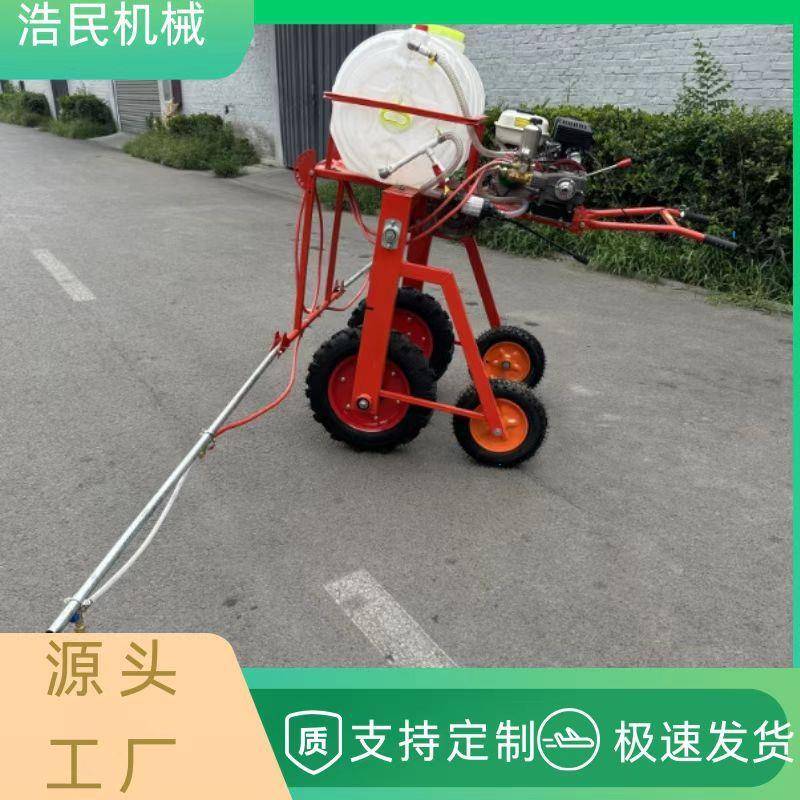 手推自走式喷杆打药机 农用果园喷药机 喷雾机农用玉米手扶打药机