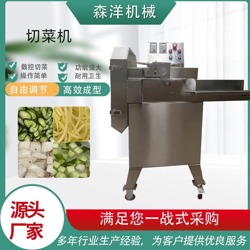 商用不锈钢蔬菜切丝切片切丁机双变频双调速切菜机 多功能切菜机